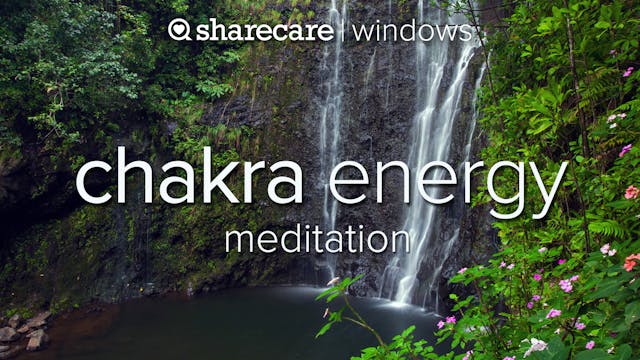 Chakra Energy Meditation