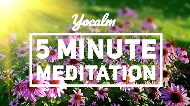 Five Minute Guided Meditation