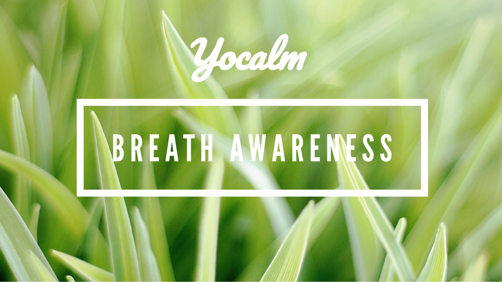 Breath Awareness