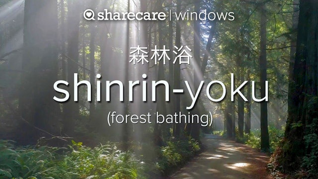 Shinrin Yoku (forest bathing) 1-hour
