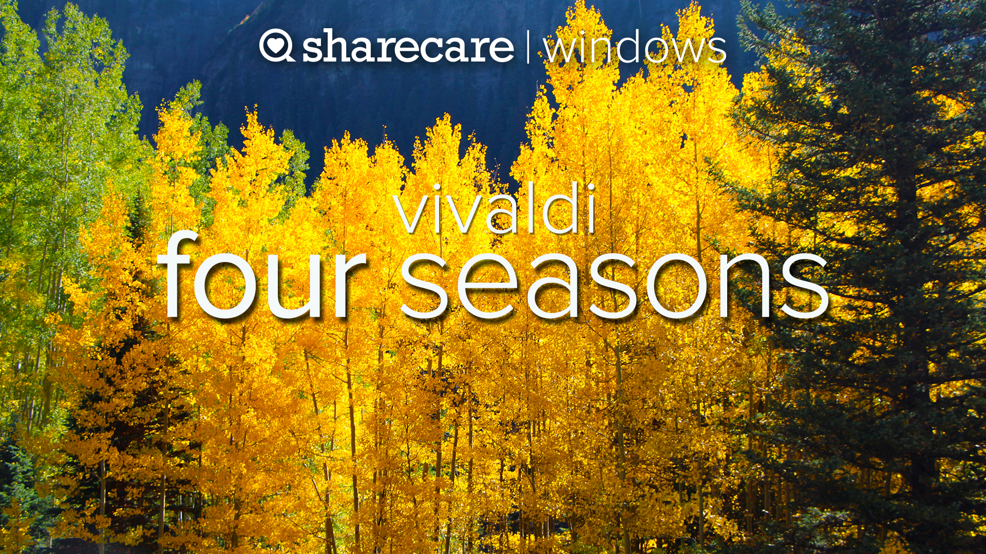 Vivaldi Four Seasons