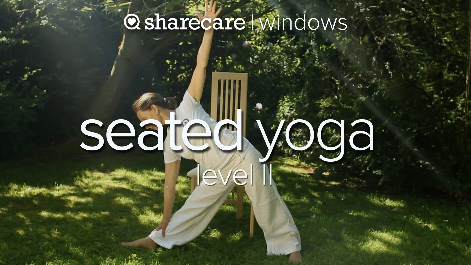 Seated Yoga Level II