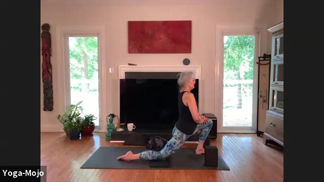 Yoga-Mojo - Gentle Yoga - Krishna