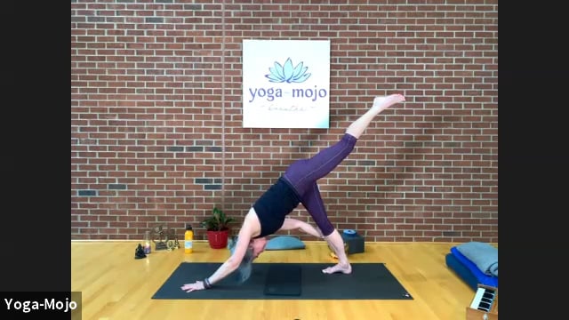 Yoga-Mojo - Vinyasa 1-2 - Fall Equinox - Yamas and Niyamas