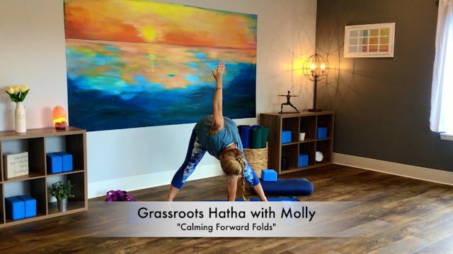 Calming Forward Folds with Molly