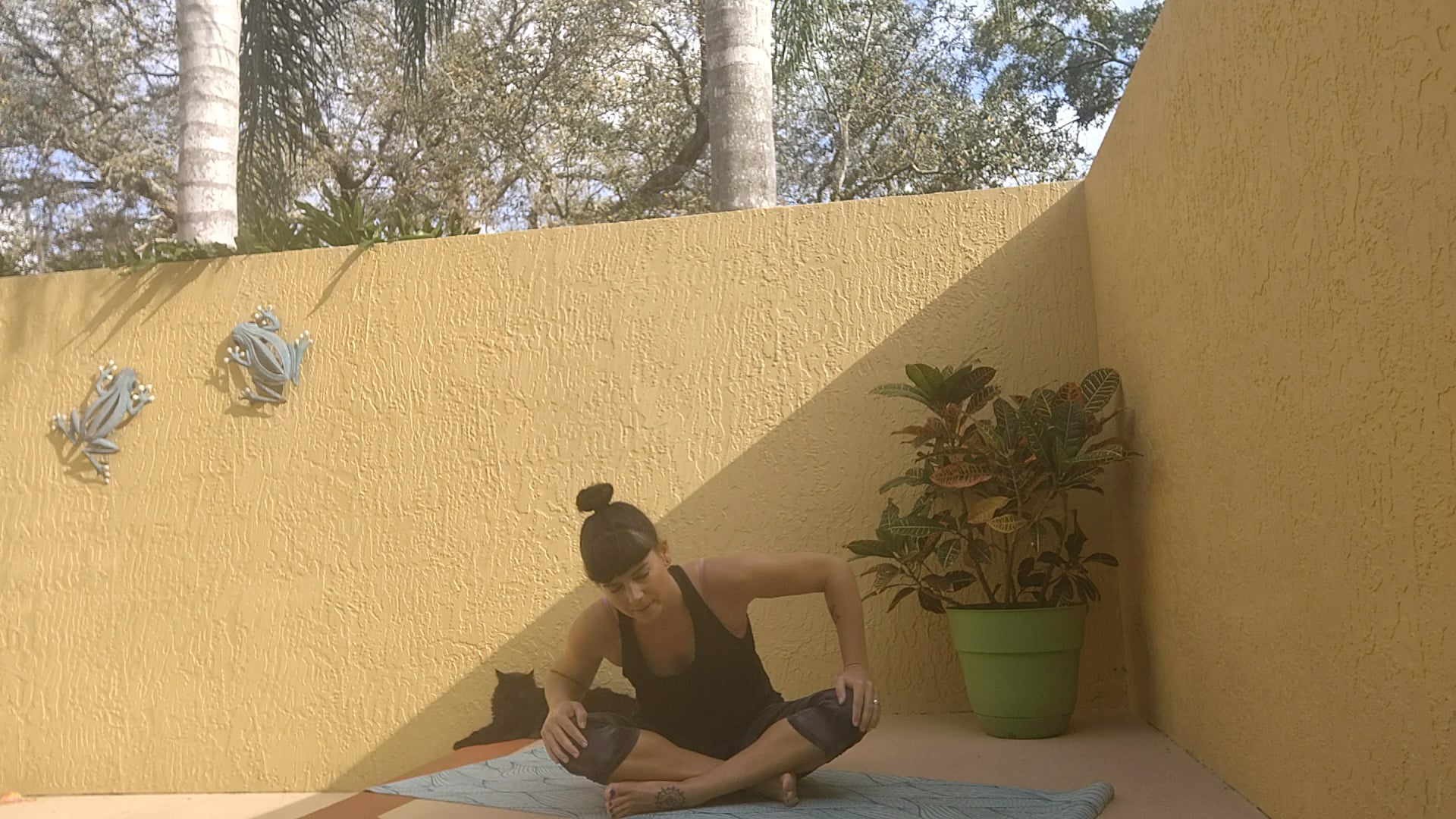 All Level Flow w/ Jessie