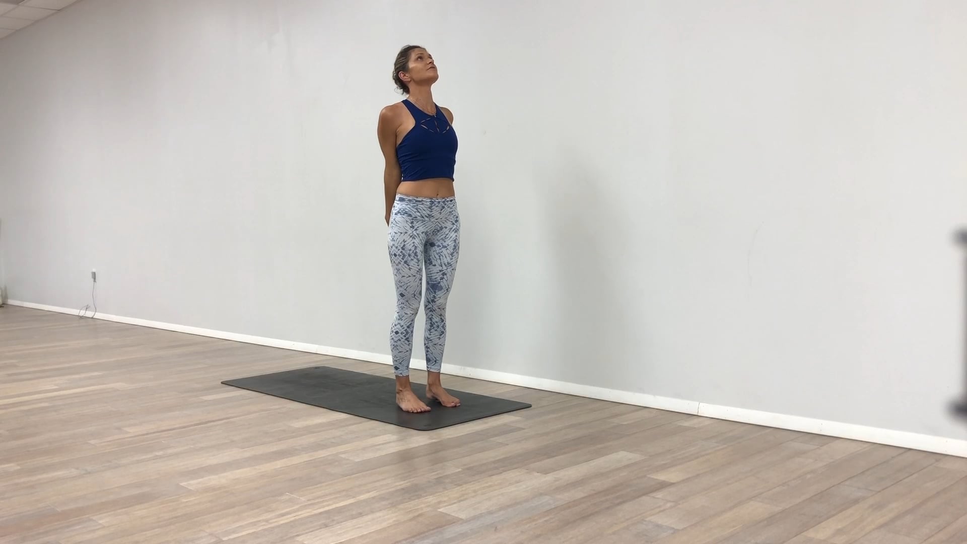 Dolphin and Forearm Strength