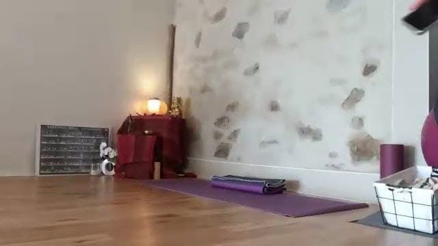 Yoga les bases débutants - 1h 2024-02-19