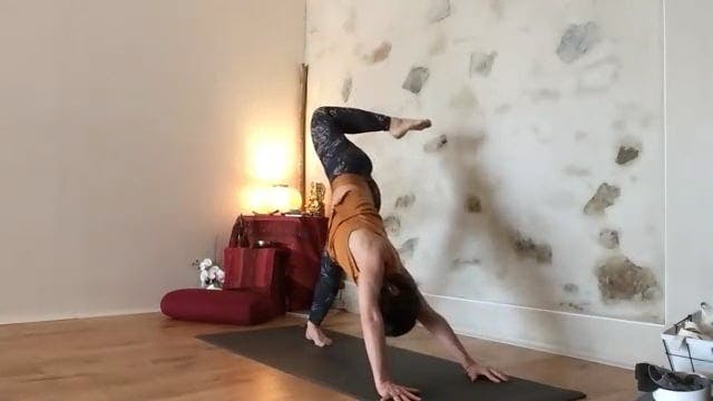 Cours Vinyasa krama 12h30 2024-03-22