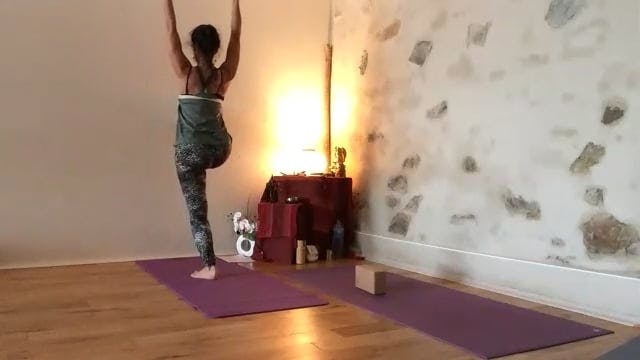 Yoga les bases - 1h 2024-05-29