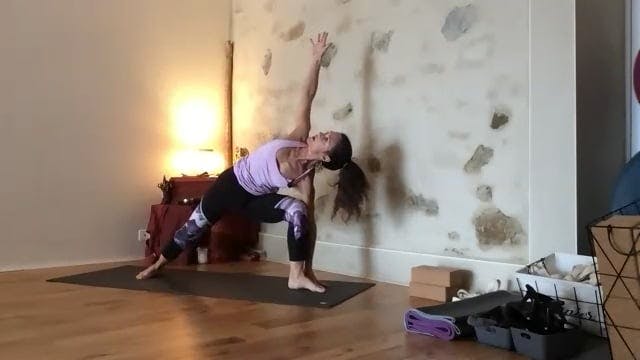 Cours Vinyasa krama 12h30 2023-12-08 ...