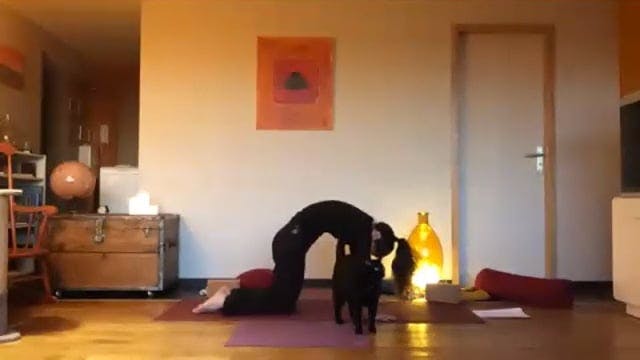 vinyasa yoga 2021-03-22