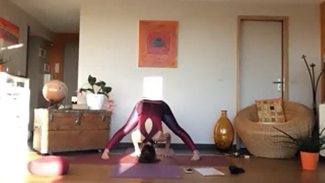Vinyasa yoga 2021-04-22