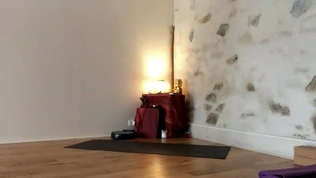 Cours Vinyasa krama 12h30 2023-12-22 ...