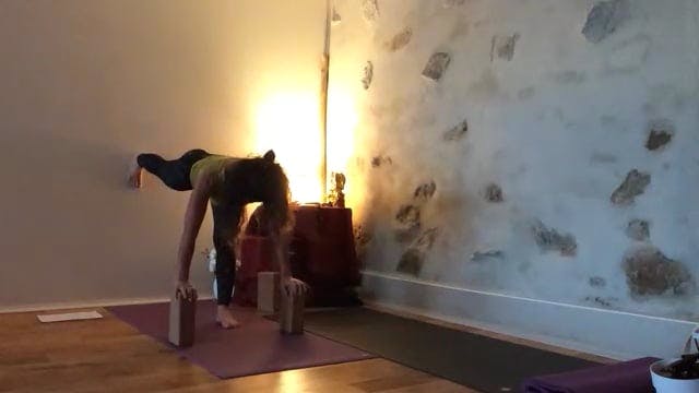 Yoga les bases - 1h 2024-03-27