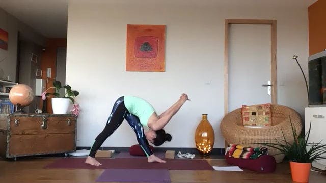 Ashtanga vinyasa yoga les bases 2021-...
