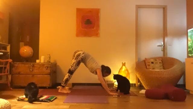 Vinyasa yoga 2021-01-25