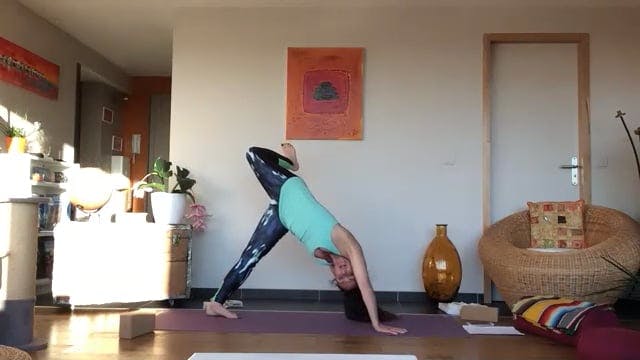 Vinyasa yoga 2021-04-19