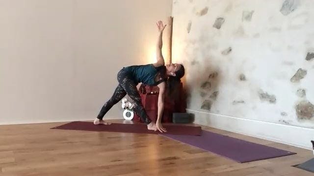 Cours Vinyasa krama 12h30 2024-04-19