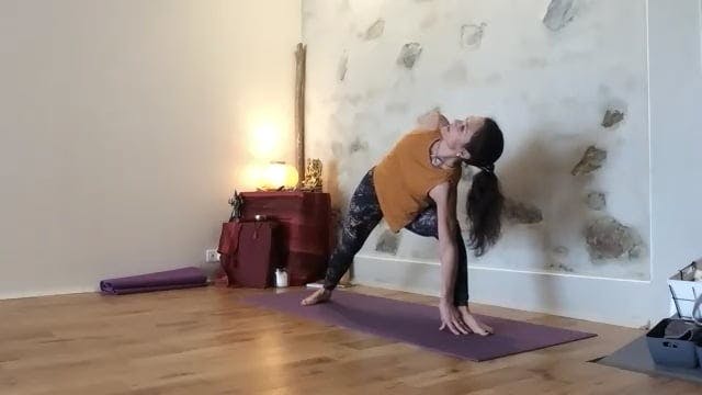 Cours Vinyasa krama - 3 févr. 2023