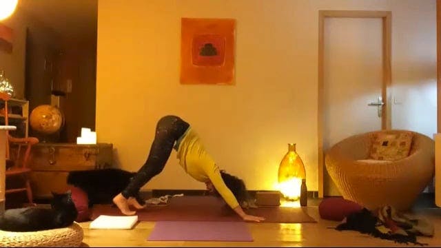 Bases en ashtanga vinyasa yoga 2020-1...