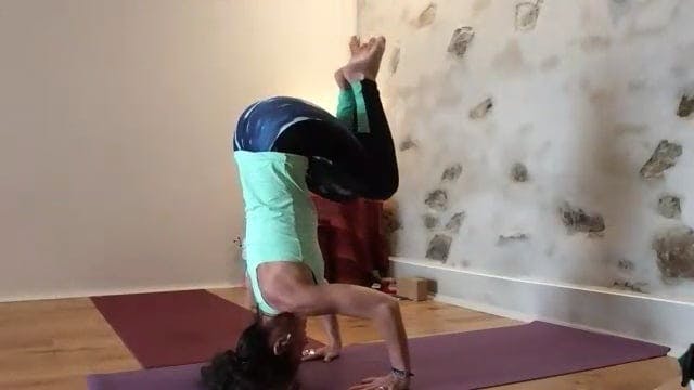 Cours Vinyasa krama 12h30 2024-04-08
