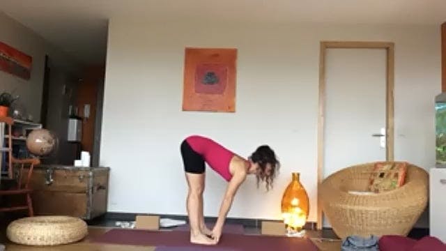 Ashtanga vinyasa yoga 2020-12-12