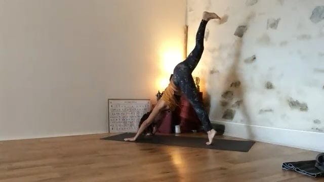 Cours Vinyasa krama 12h30 2023-11-10 ...