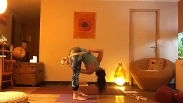 Vinyasa yoga 2020-11-30