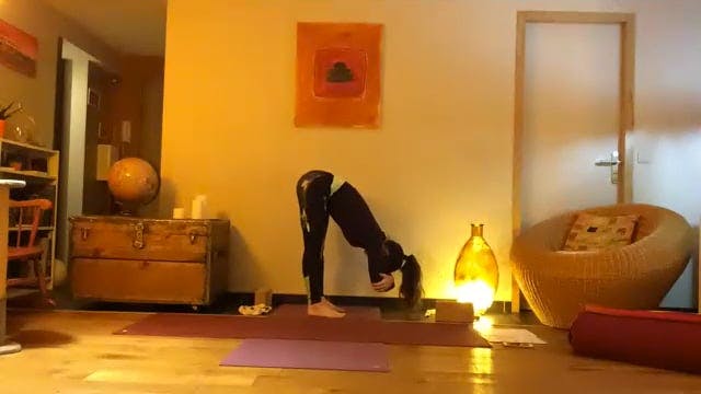 Vinyasa yoga 2021-01-18