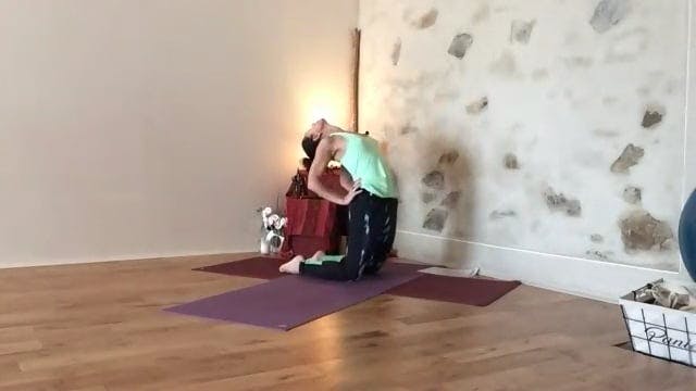 Cours Vinyasa krama 12h30 2024-01-26 ...