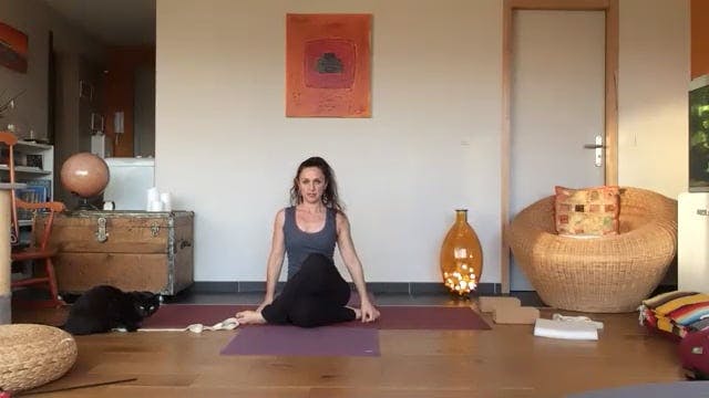 Vinyasa yoga 2021-03-15