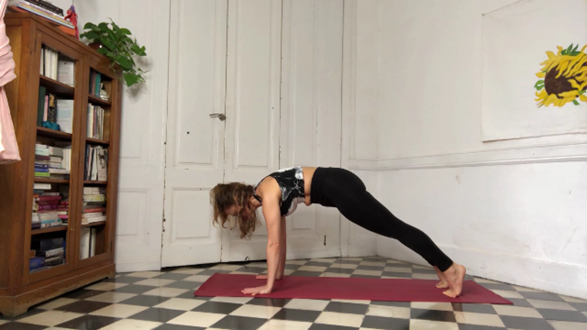 Luna Creciente con Alicia 