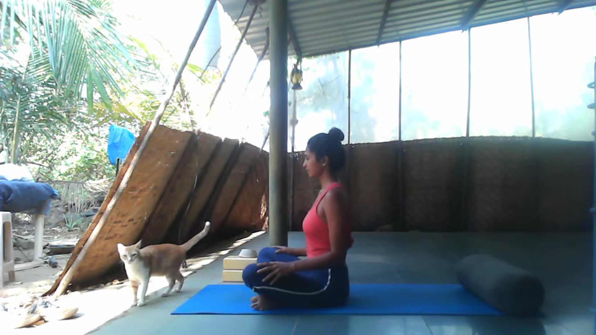 Asanas for Length and Strength