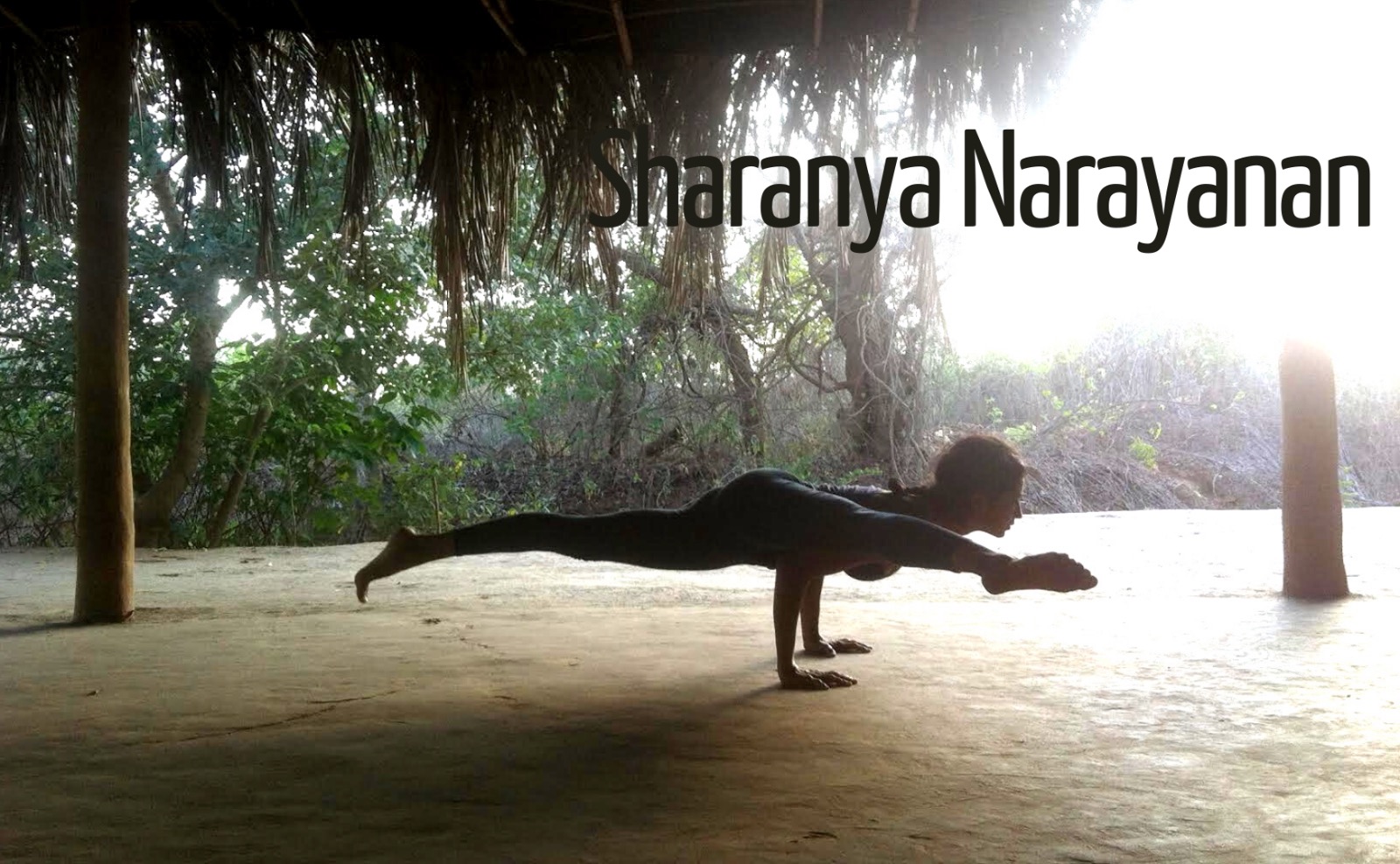 Sharanya Narayanan