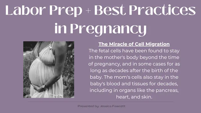 Birth Education 1 - Labor Prep for the Body + Mind