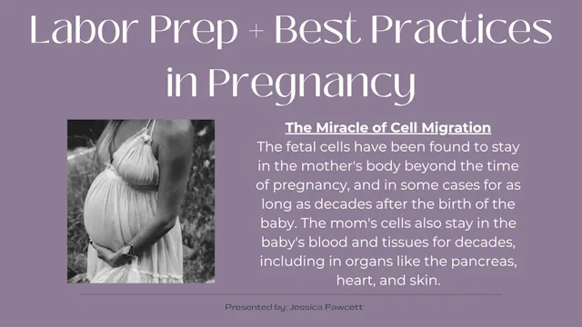 Section 1 Birth Education - Labor Prep for the Body + Mind