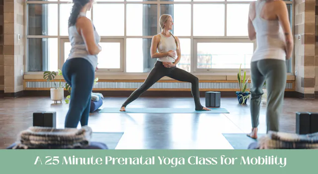 Prenatal Yoga 25 Min Class 3 - Mobility