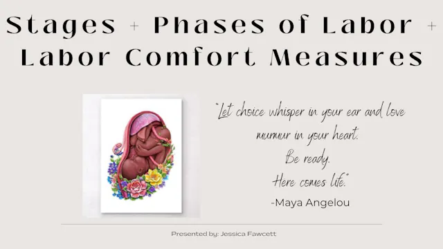 Birth Education 2 - Stages + Phases of Labor/Birth