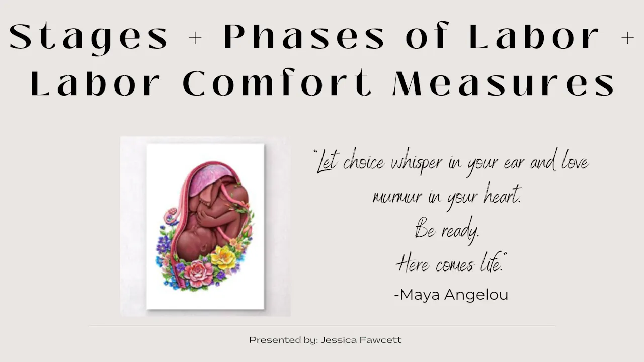 Birth Education 2 - Stages + Phases of Labor/Birth