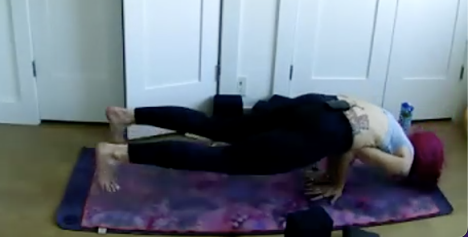 Katonah: Digest the Poison