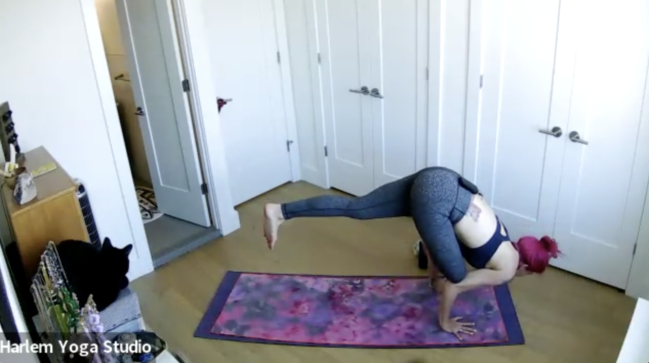 Community Flow: Wrap Yourself/Hold Yourself