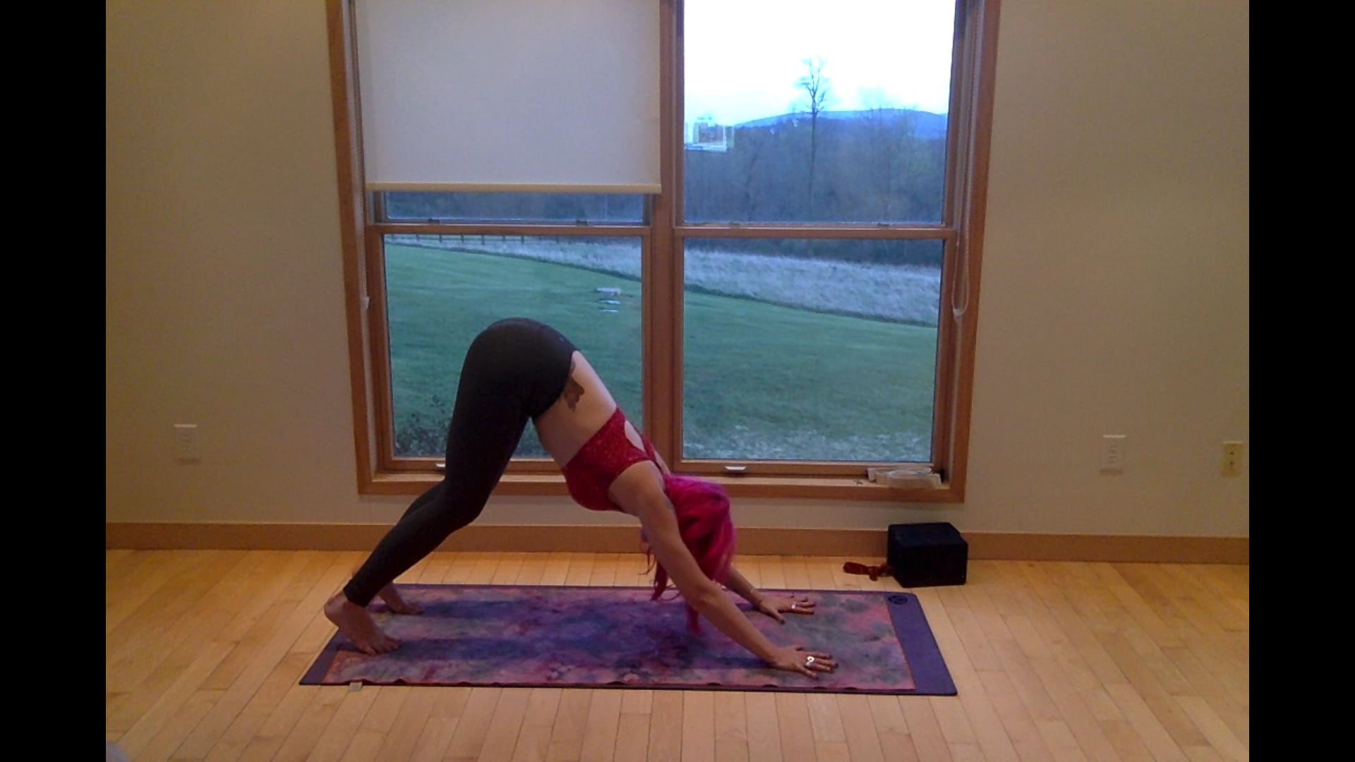 Retreat Day 3: Mental Body