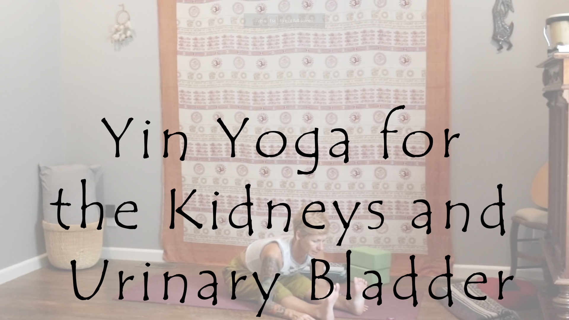 Yin Yoga for the Kidneys and Urinary Bladder – All Level