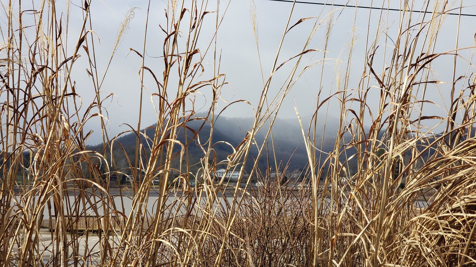 1st Class: The Doshas