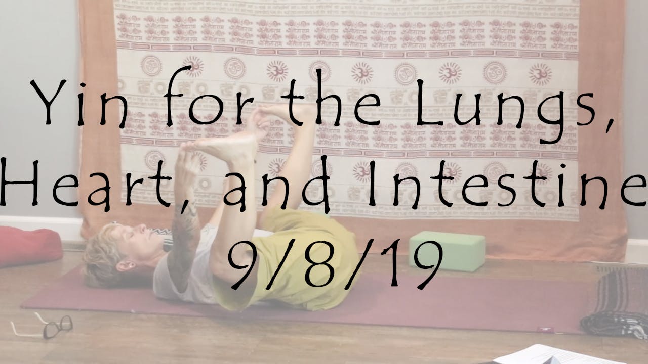 Yin For The Lungs Heart And Intestines Yin Yoga Yogadivita 