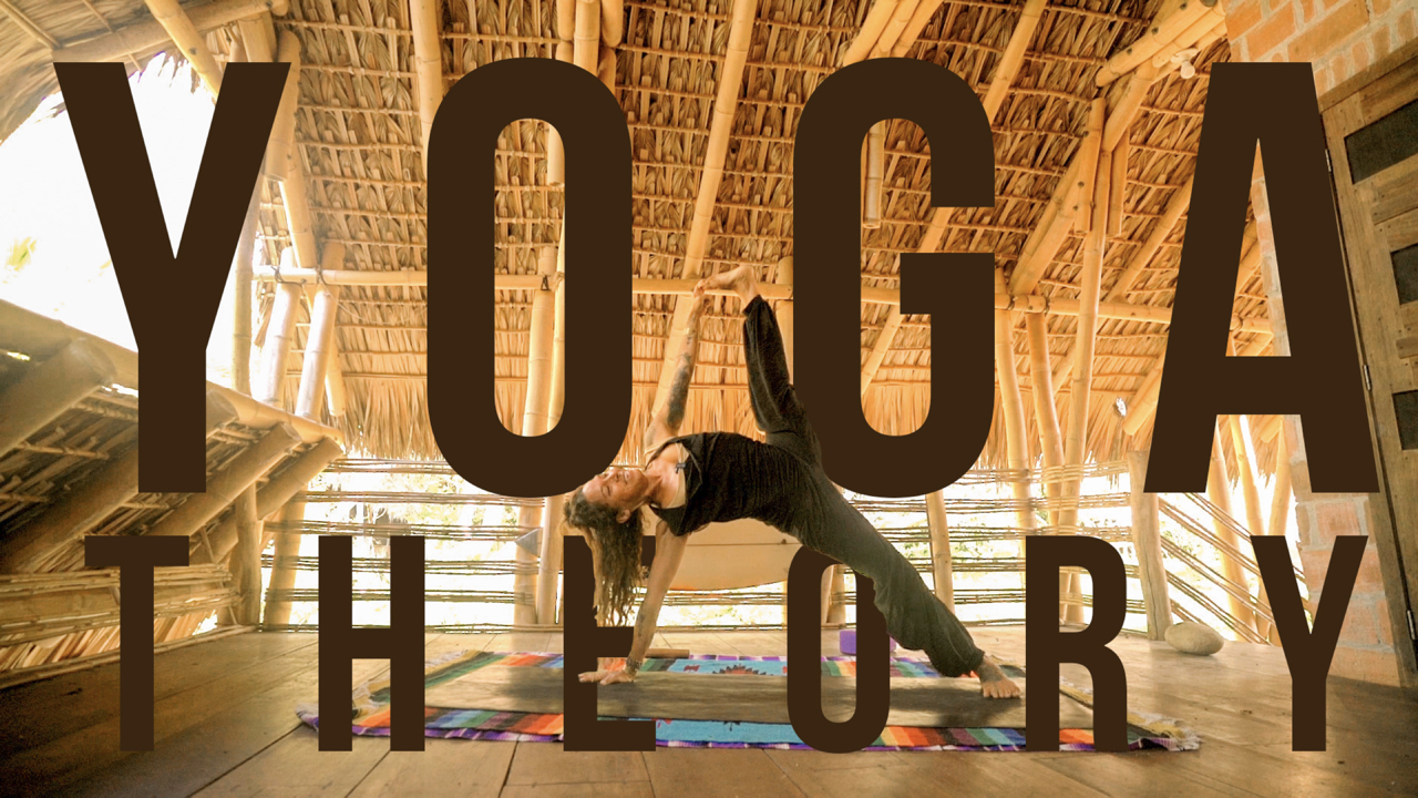 Yoga Flow & Philosophy - 30 min Total Body Sequence and Yoga Theory || 30 mins