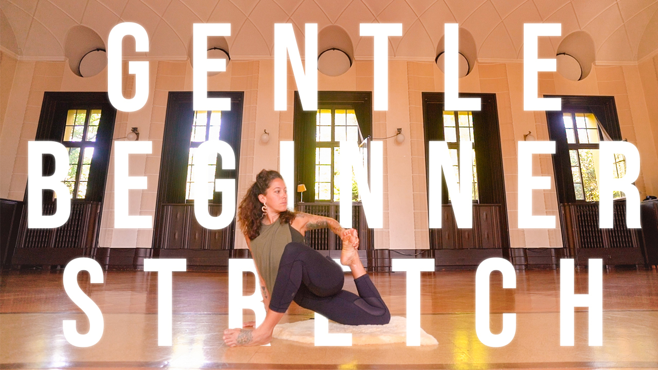Beginners Yoga - 30 min Full Body Gentle Stretch Yoga for Complete Beginners