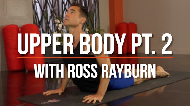 Ross Balanced Body (Upper Body pt. 2)