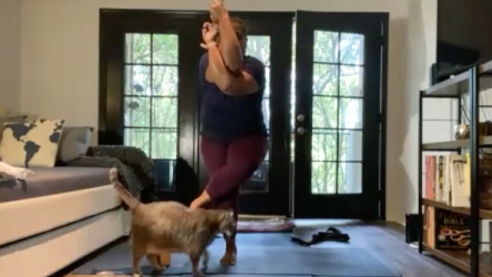 Release into Relaxation